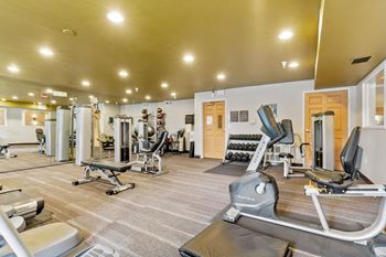 Fitness Center at Townhomes at Preserve, Rogers, 55374
